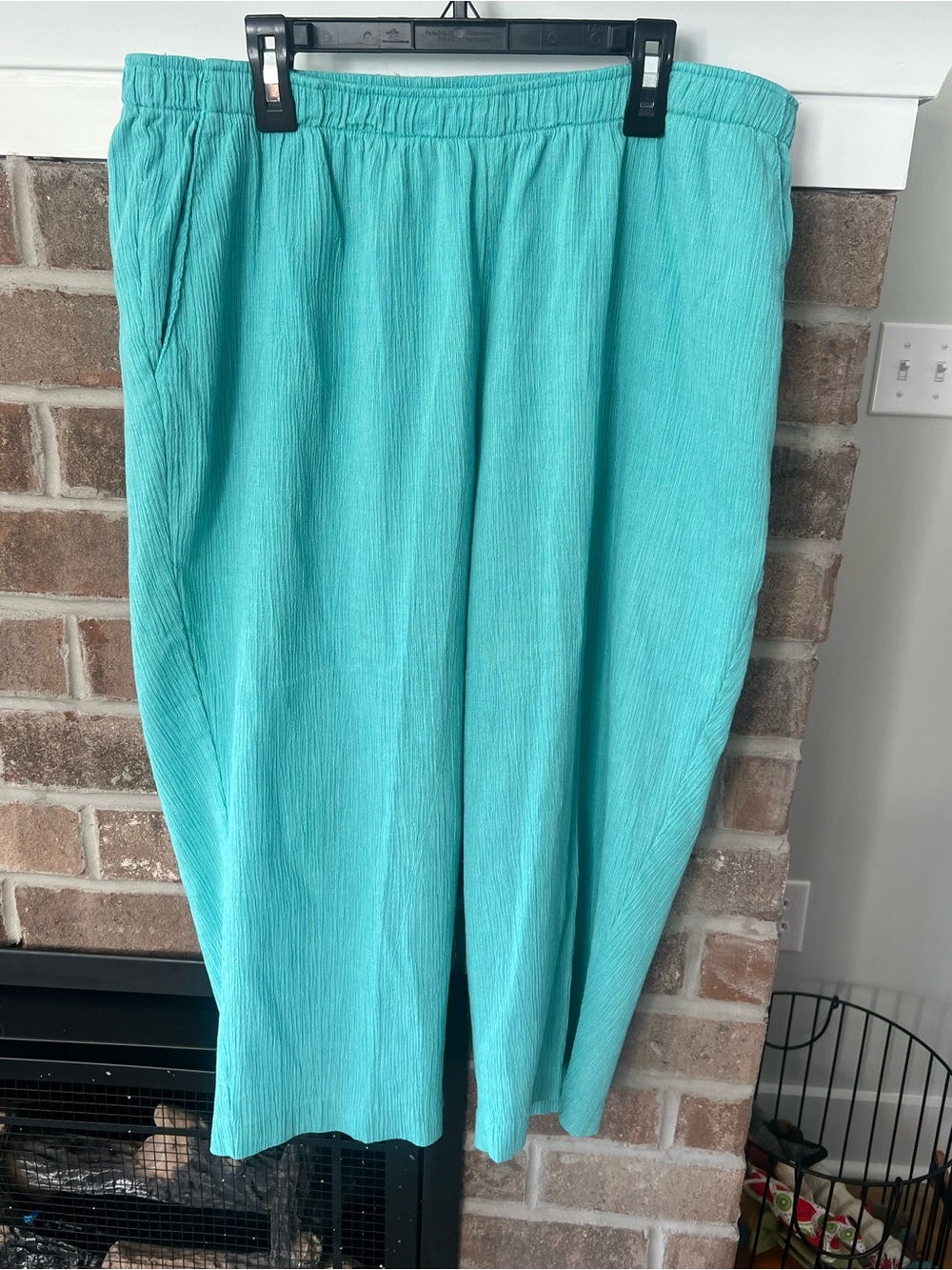 Allison Daley Teal Elastic-Waist Pull-On Pants - Picture 1 of 3